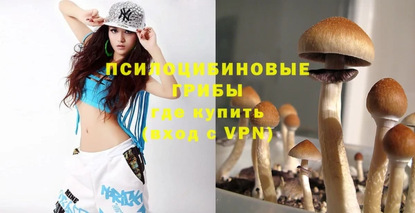 не бодяженный Горняк