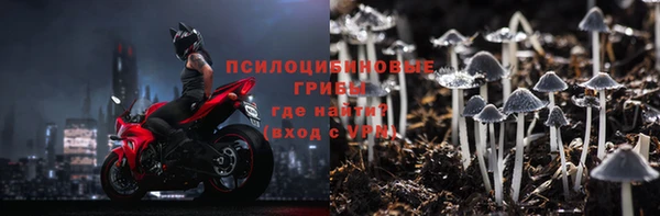 ГАЛЛЮЦИНОГЕННЫЕ ГРИБЫ Горно-Алтайск