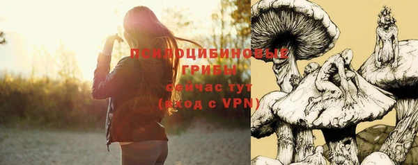 амф Сясьстрой