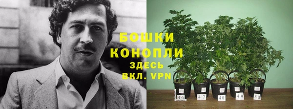 амф Сясьстрой