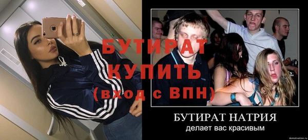 индика Медвежьегорск